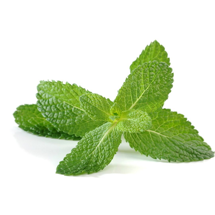 BLEND Tea Arabian Nights 100ks