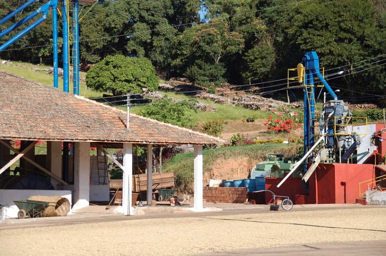 9 Grams Coffee Brazil SERTAO