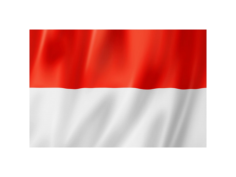 Indonesia Green Bean Peaberry (specialty)