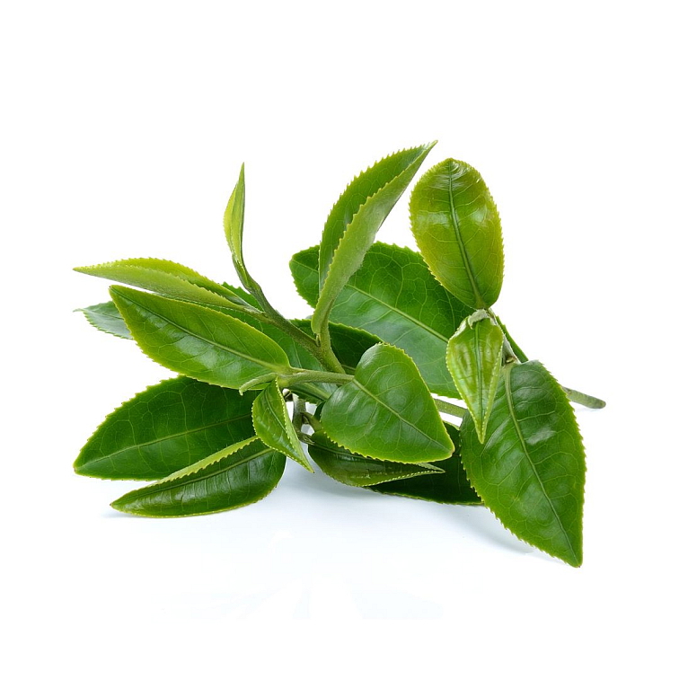 Tea Theory Visit me Provence 40g