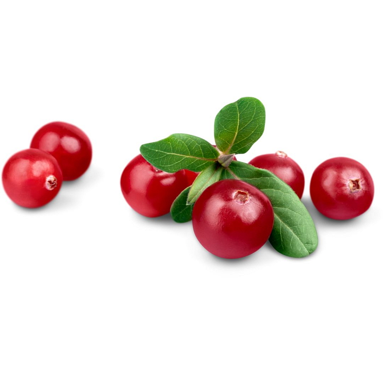 BLEND Tea Cranberry 15ks