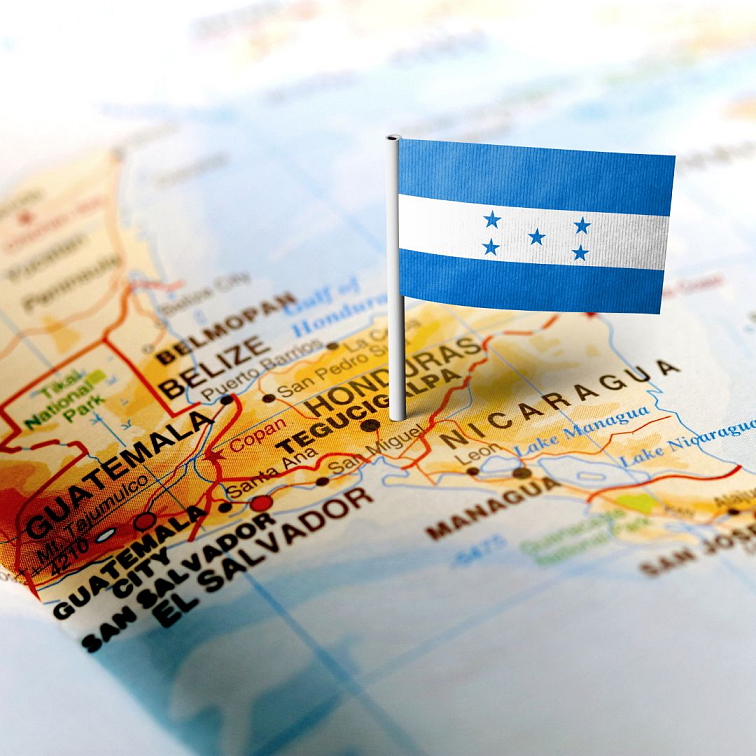 9 Grams Coffee Honduras SHG Calan Washed