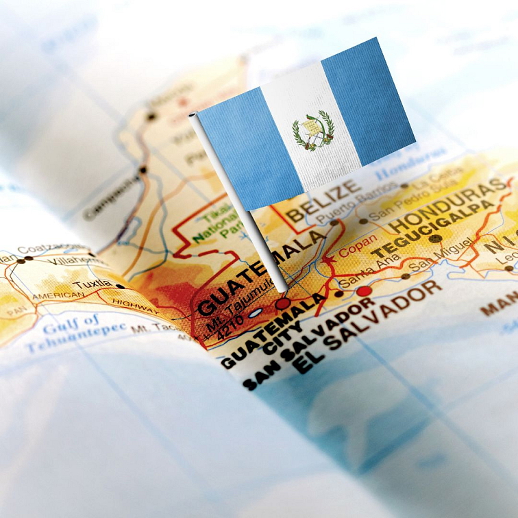 9 Grams Coffee Guatemala Remito washed