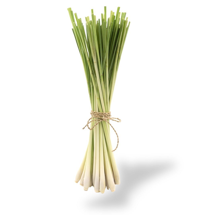 Tea Theory Visit me Provence 40g