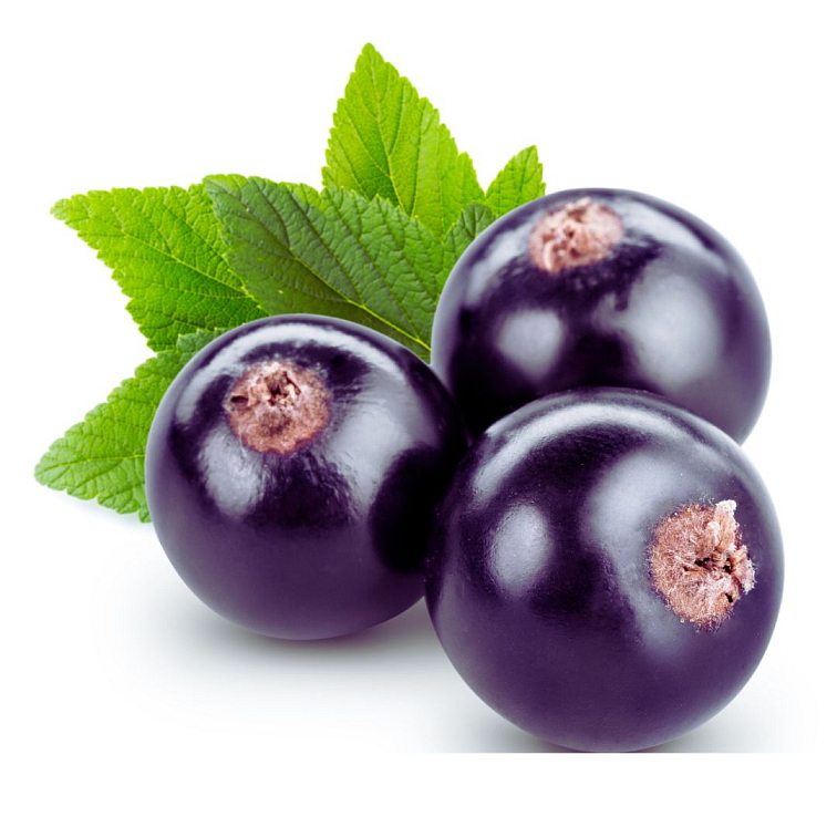 Tea Theory Jelly me Berry 80g