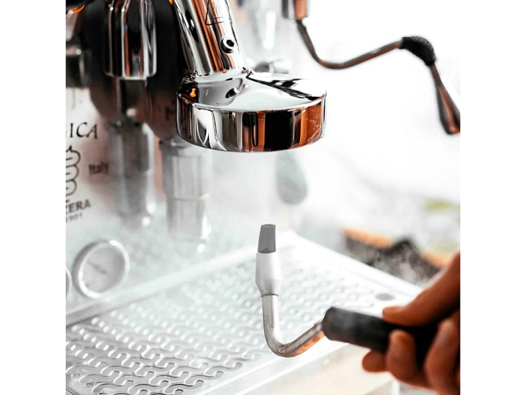 Steam brush Joe Frex