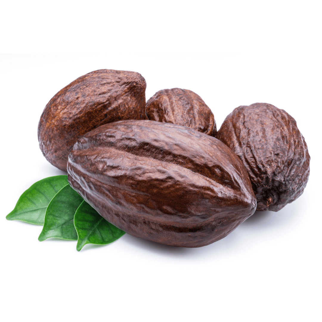 9 Grams Coffee - Chocolate Cream