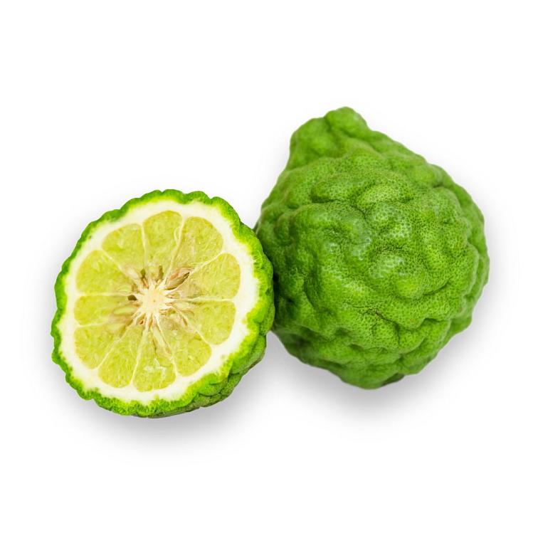 BLEND Tea Earl Grey Special 100 ks