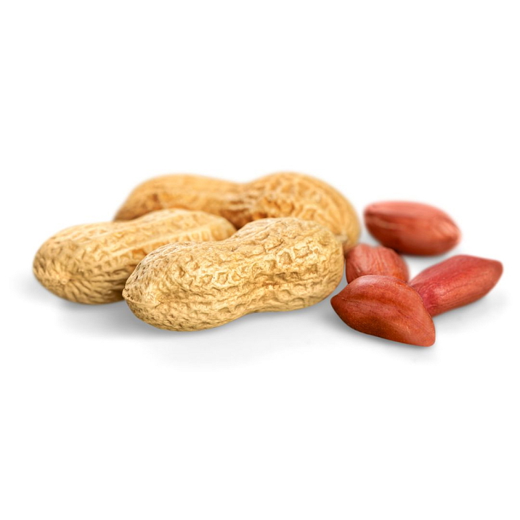 9 Grams Coffee Uganda JUMBO washed Robusta