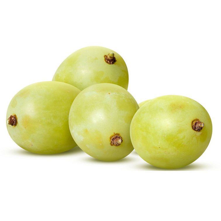 Tea Theory Jelly me Berry 250g