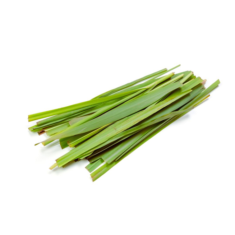 BLEND Tea Body & Mind 100ks