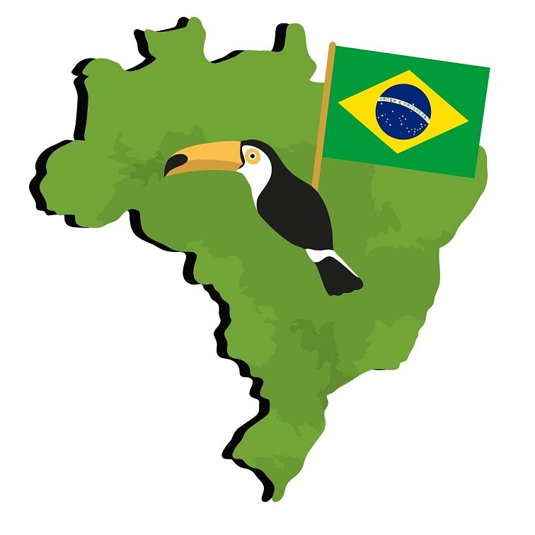 9 Grams Coffee Brazil Geisha Micro Lot