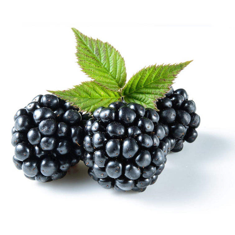 Tea Theory Jelly me Berry 250g