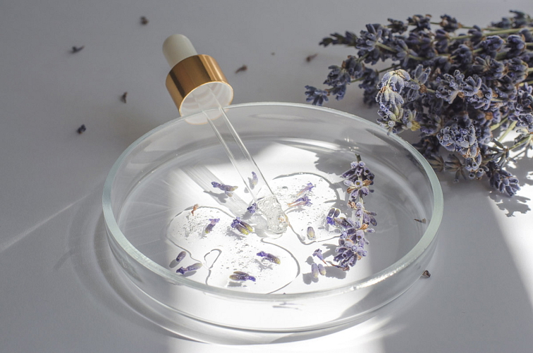 BIO Levandule Chodounská