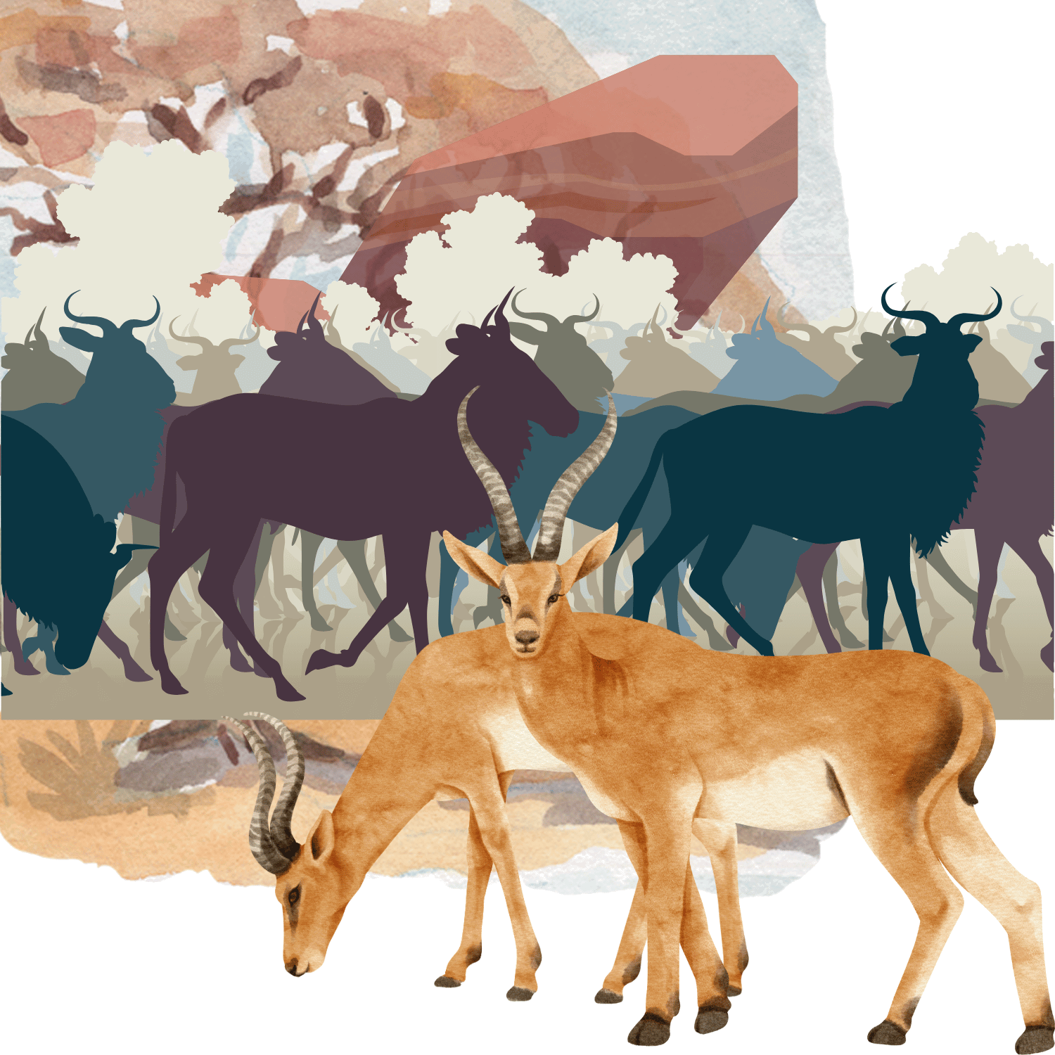 Migrace pakoňů v Serengeti