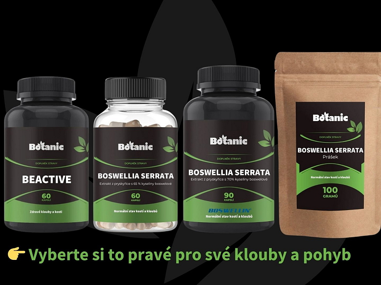Boswellia serrata - Extrakt z pryskyřice s 70% kyseliny boswelové (Boswellin®️ HBD Sabinsa) v kapslích