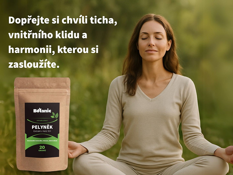 Pelyněk - Extrakt z listů 10:1 v prášku
