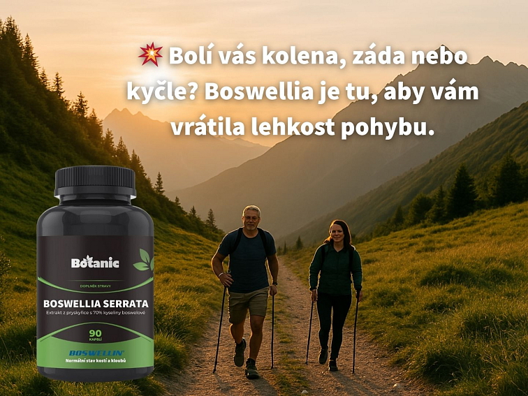Boswellia serrata - Extrakt z pryskyřice s 70% kyseliny boswelové (Boswellin®️ HBD Sabinsa) v kapslích