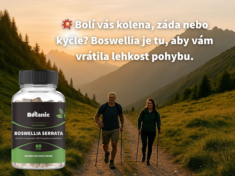 Boswellia Serrata - Extrakt kapsle