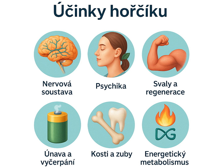 Hořčík - Bisglycinát v kapslích