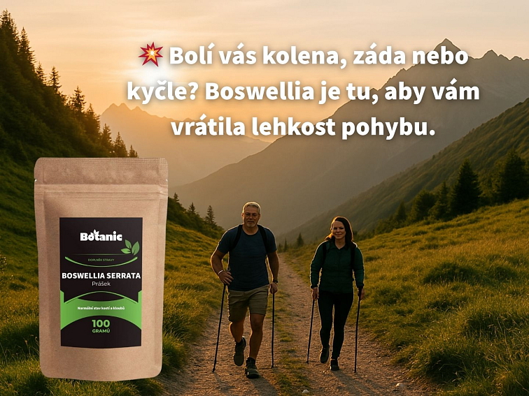 Boswellia serrata - Prášek