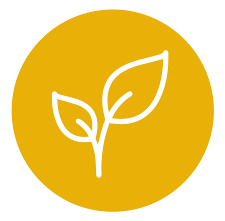 Bio & Raw Camu Camu vitamín C, 100g