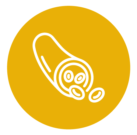 Bio & Raw Camu Camu vitamín C, 100g