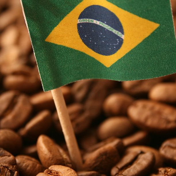 LIZARD COFFEE BRASIL 500g