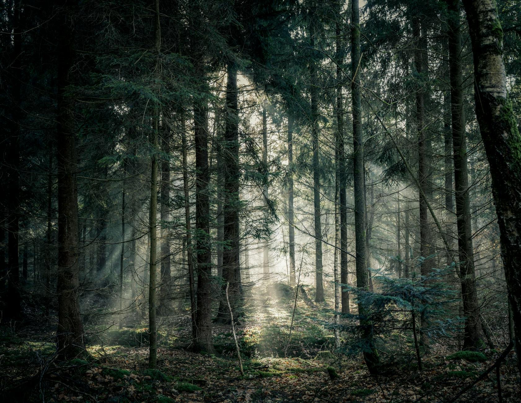 Postel z masivu Darek 180x200 cm Bílá + pěnová matrace