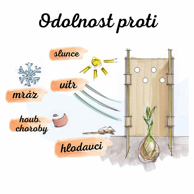 Ochranný tubus BIO 60 cm