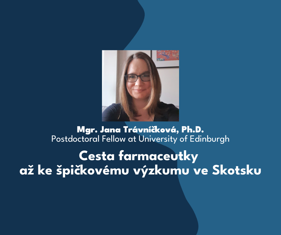 Blogová stránka