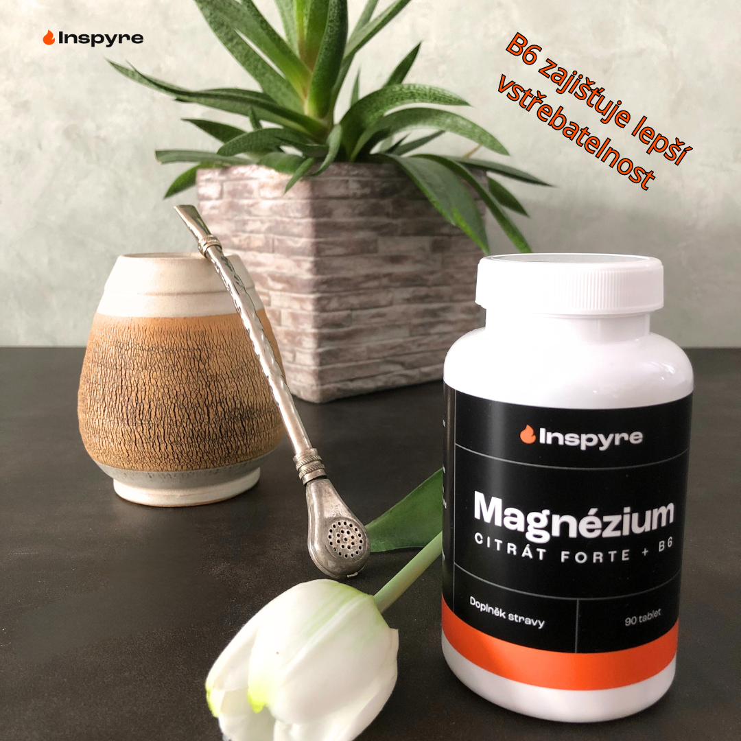 Magnesium citrát Forte + B6, 90 tablet