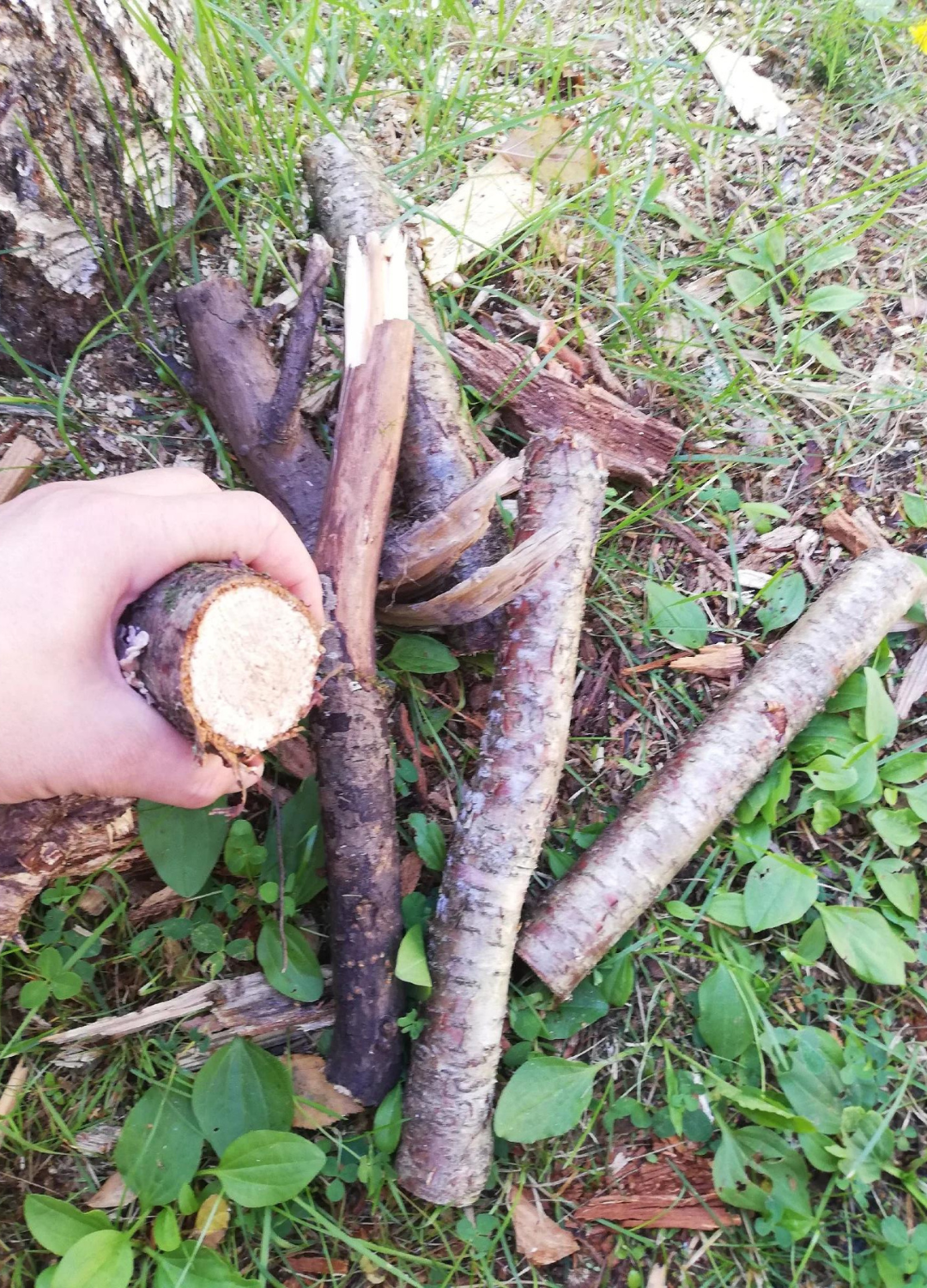 Ľahká AKU reťazová pílka + 2 batérie zadarmo + 2 lišty zadarmo + 2 reťaze zadarmo