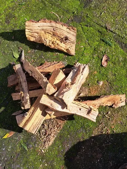 ŠTÍPACÍ TRN - Vrták na štípání dřeva