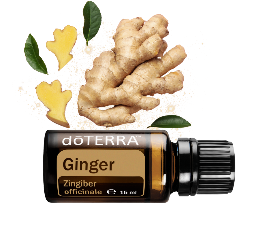 Ginger 15 ml (Zázvor) - olej obdarovania mocou