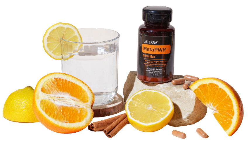 MetaPWR™ Mito2Max™ 60 kapsulí