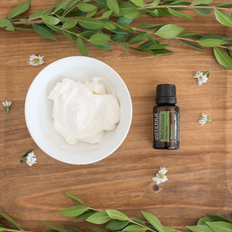 Tea Tree 15 ml (Čajovník) - olej energetických hraníc