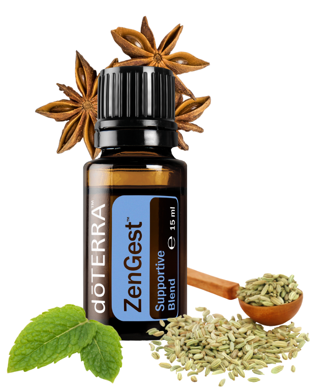 ZenGest™ 15 ml - olej trávenia