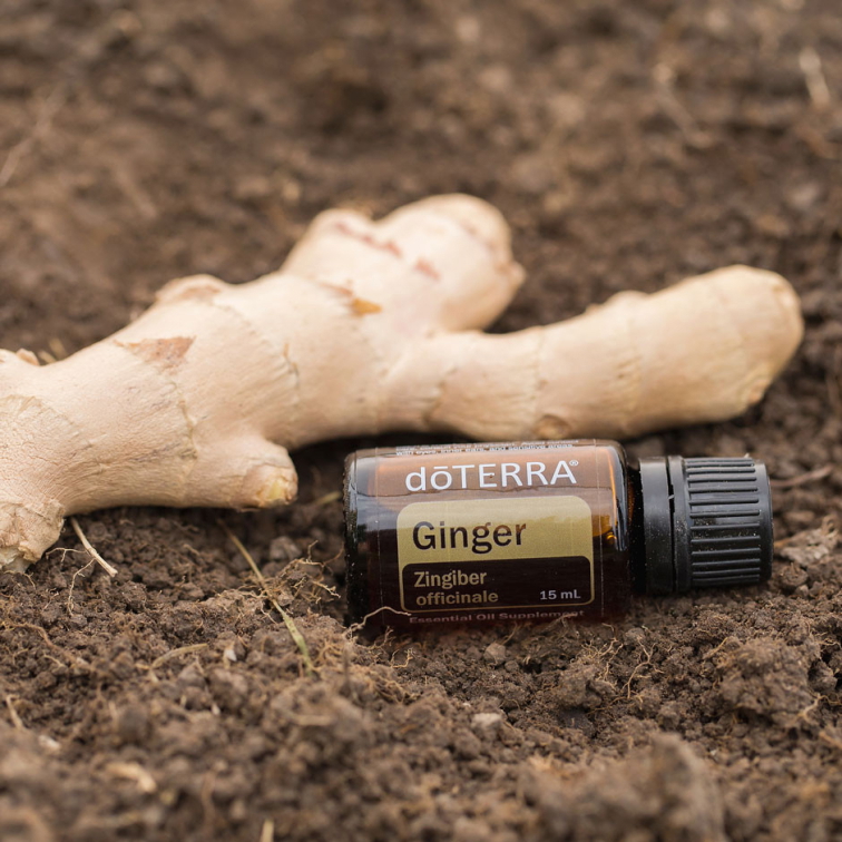 Ginger 15 ml (Zázvor) - olej obdarovania mocou