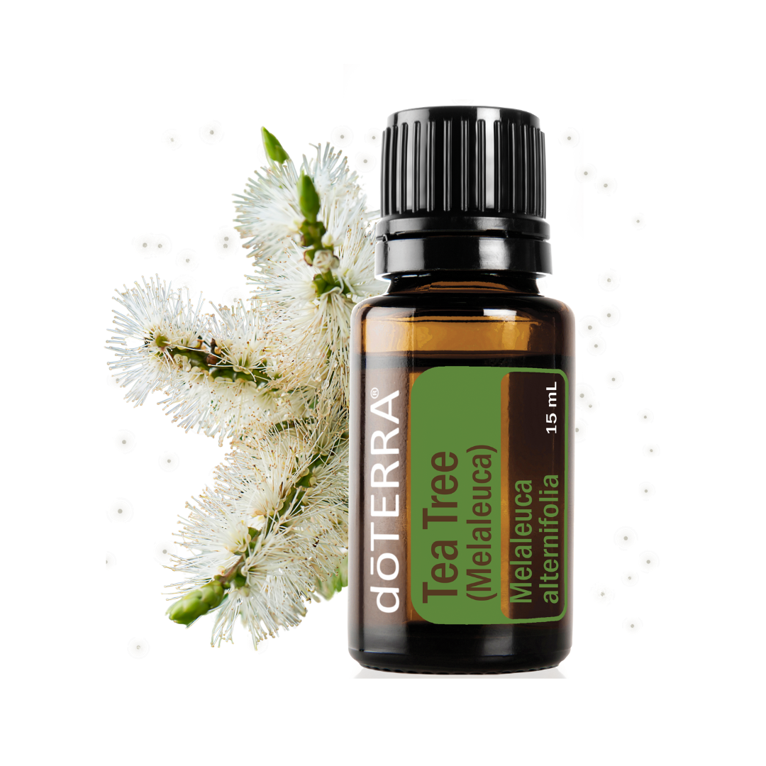 Tea Tree 15 ml (Čajovník) - olej energetických hraníc