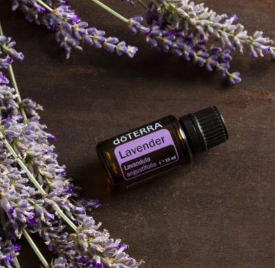 Lavender 15 ml (Levanduľa) - olej komunikácie