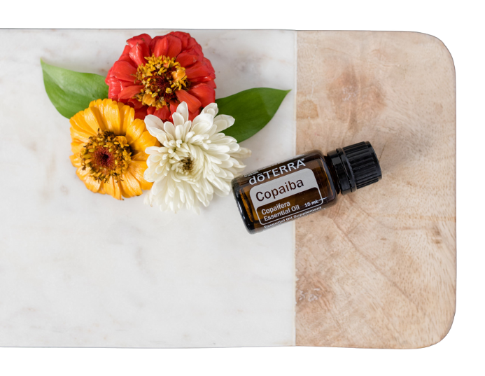 Copaiba 15 ml - olej odhalenia