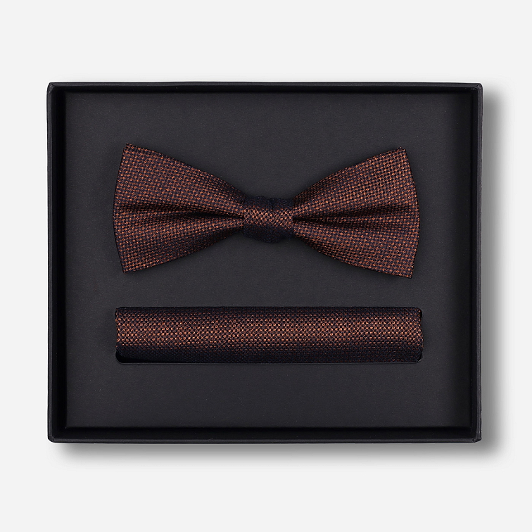 Sada predviazaného motýlika a vreckovky do saka