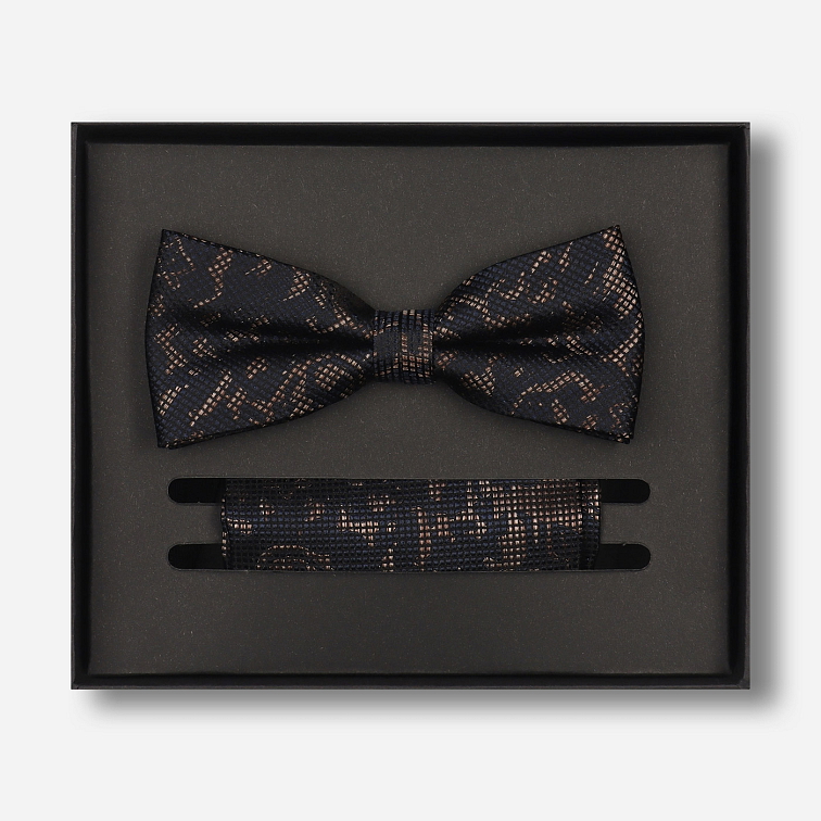 Sada predviazaného motýlika a vreckovky do saka