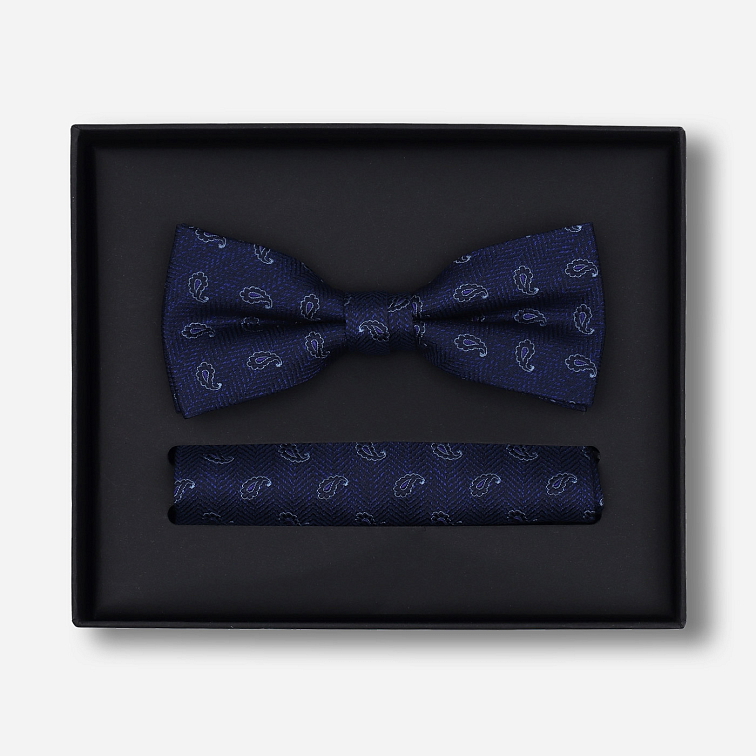 Sada predviazaného motýlika a vreckovky do saka