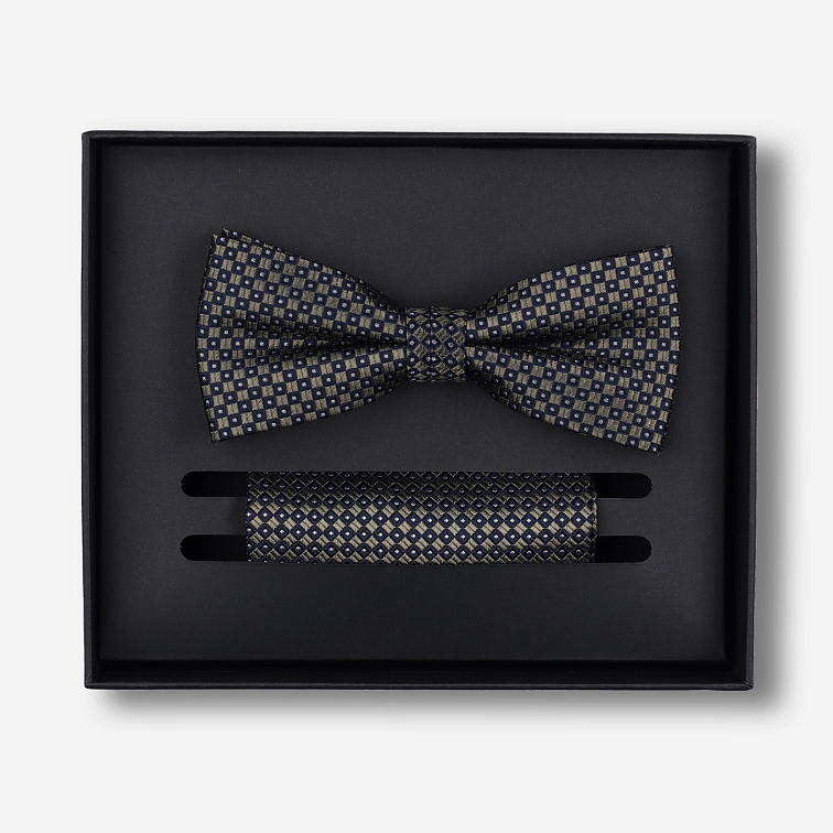 Sada predviazaného motýlika a vreckovky do saka