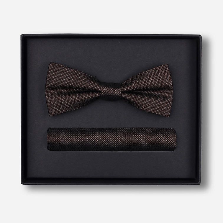 Sada predviazaného motýlika a vreckovky do saka