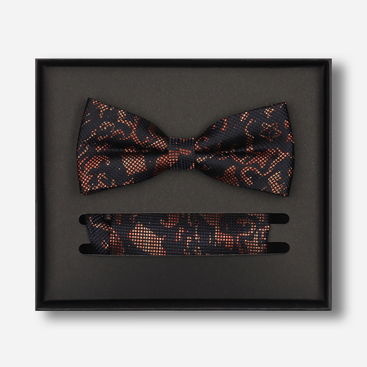 Sada predviazaného motýlika a vreckovky do saka