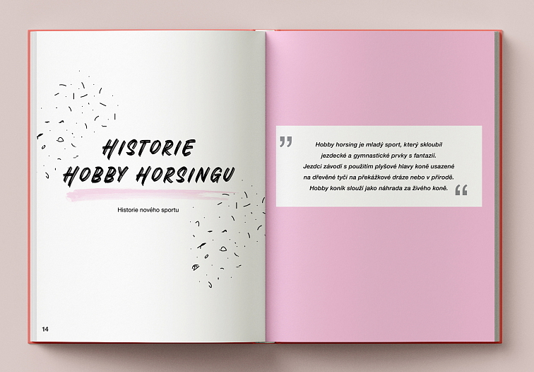 Český Hobby Horsing