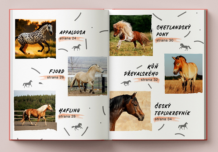 Český Hobby Horsing